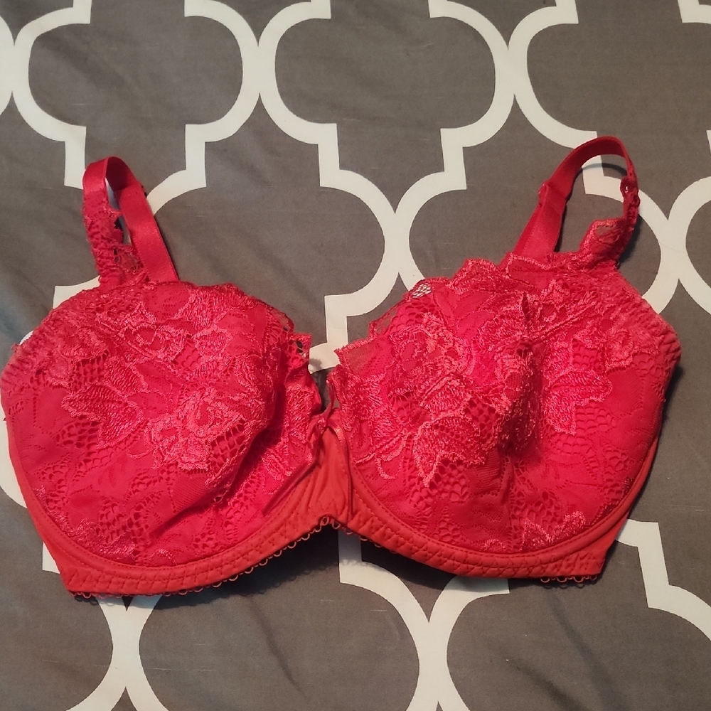 Elegant Red Lace Bra